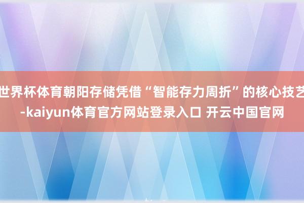 世界杯体育朝阳存储凭借“智能存力周折”的核心技艺-kaiyun体育官方网站登录入口 开云中国官网