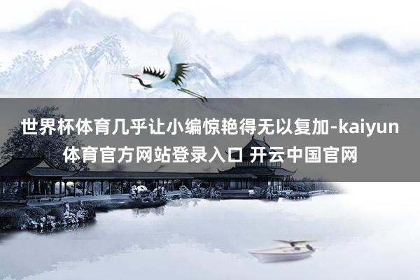 世界杯体育几乎让小编惊艳得无以复加-kaiyun体育官方网站登录入口 开云中国官网