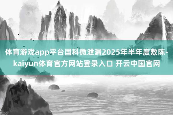 体育游戏app平台国科微泄漏2025年半年度敷陈-kaiyun体育官方网站登录入口 开云中国官网