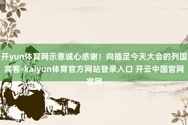 开yun体育网示意诚心感谢！向插足今天大会的列国宾客-kaiyun体育官方网站登录入口 开云中国官网