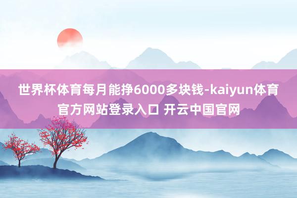 世界杯体育每月能挣6000多块钱-kaiyun体育官方网站登录入口 开云中国官网