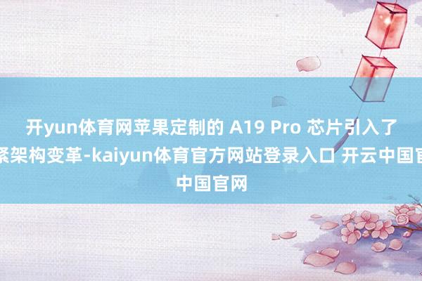 开yun体育网苹果定制的 A19 Pro 芯片引入了要紧架构变革-kaiyun体育官方网站登录入口 开云中国官网