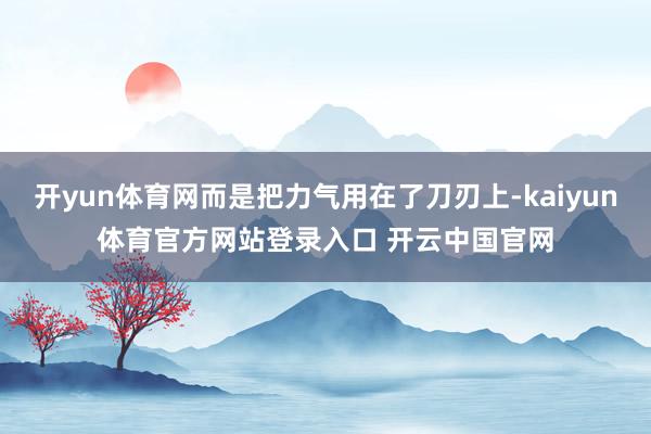 开yun体育网而是把力气用在了刀刃上-kaiyun体育官方网站登录入口 开云中国官网